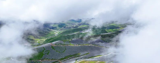 1703842610199753uSXl.png 20231229173639.png